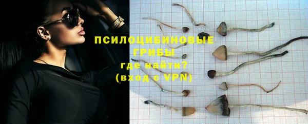 мет Бородино