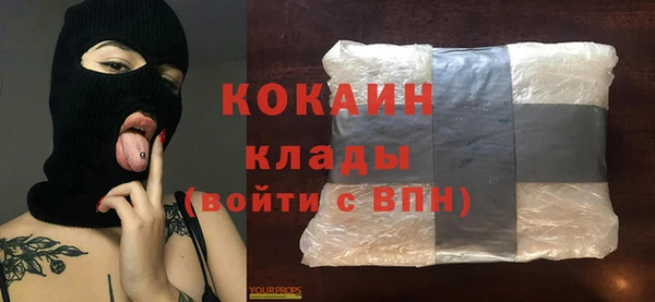 прущие грибы Тайга