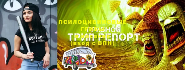 СК Волосово